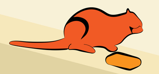 red cat ready to eat