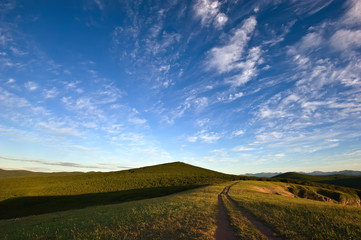 The road through the meadow in the early summer morning.
