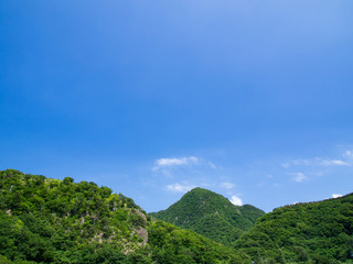 山