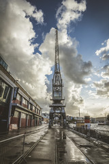 Fototapeta premium Bristol Cranes