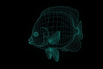 Fish in Hologram Wireframe Style. Nice 3D Rendering
- 162613847