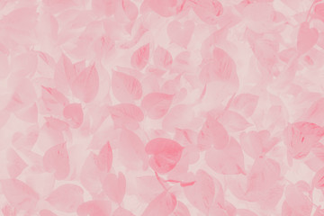 background texture from leaves with color effect.