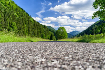 Asphalt road in nature