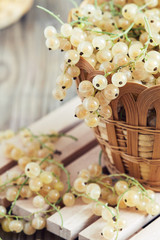 White currant berries in woven basket, closeup with selective focus