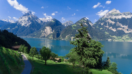 Nature of Swiss
