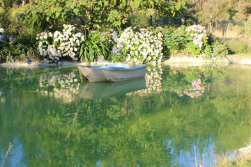 Pond Garden