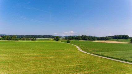 Rural Swiss road