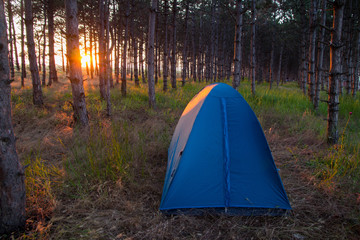 Camping tent in the forrest
