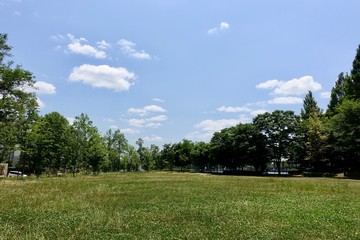 Obraz premium 初夏の散歩