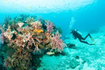 Gordijnen KHAO LAK, THAILAND - MARCH 1: Coral, fish and scuba driver underwater in Similan Islands, Thailand on March 1, 2009. Similan Islands are Thailand's premier dive destination. © papi8888