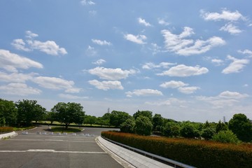 Naklejka premium 初夏の散歩