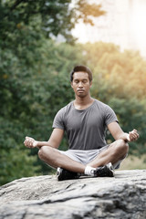 Naklejka na ściany i meble Man doing martial art exercises at Central Park