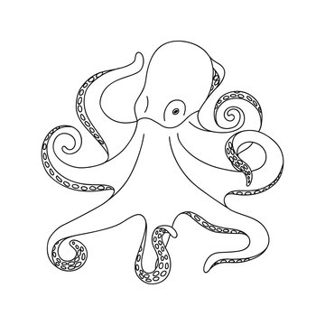 Isolated black outline monochrome octopus on white background. Curve lines. Page of coloring book.