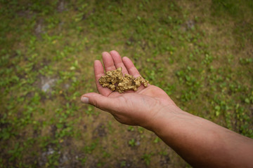 a man is holding a big gold nugget in his hand