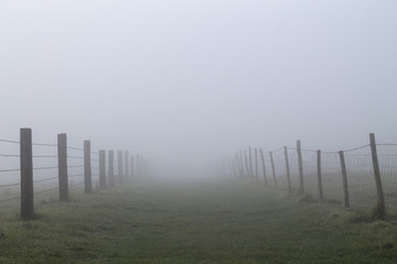 chemin vers le brouillard
