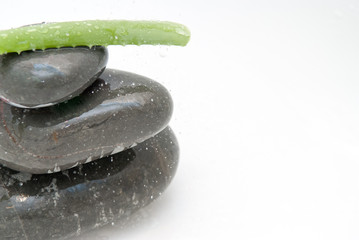 Spa treatment background of pebbles and running water with natural plant