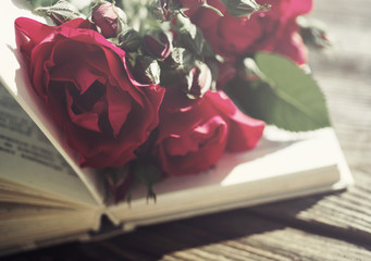 Garden claret roses and open book on a wooden surface