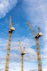 Fototapeta na wymiar Construction cranes in Berlin, Germany