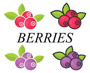 cute cranberry and blueberry vector with text