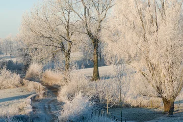 Fototapeten landschap in zuid-Limburg met rijp © twanwiermans