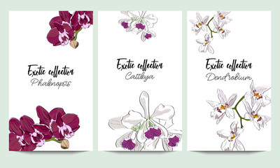Vertical vector banners of orchids exotic collection. An idea for design, invitation.
