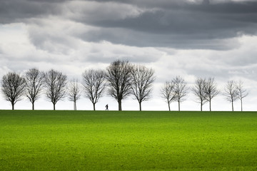 Fototapeta premium campagne champ culture agricole horizon arbre silhouette contre jour nuage orage tempête menace météo pluie