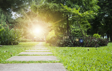 Public park in the morning