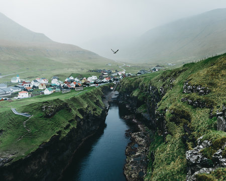 Bird flying above gorge in Faroese village