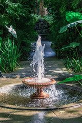 Fountain with Flowing Water taken in a Botanical Garden