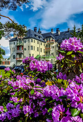 Fototapeta na wymiar Beautiful building in Imatra, surrounded by rhododendron. Finland 