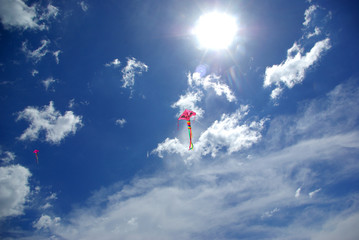 flying kite