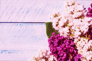 flowers on wooden background. top view copy space.