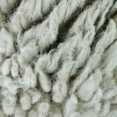wool sheep background texture,is raw material.