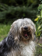 Chill out im just yawnig