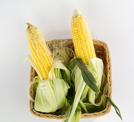 corn in a bamboo basket isolated on white background