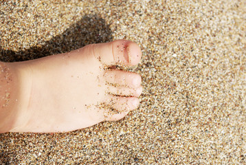 Child's feet in the sand close-up