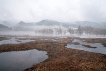 雨上がりの尾瀬ヶ原の風景