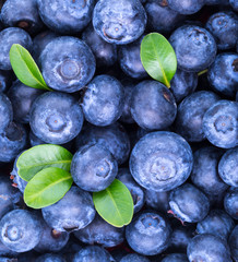 Ripe Blueberry background