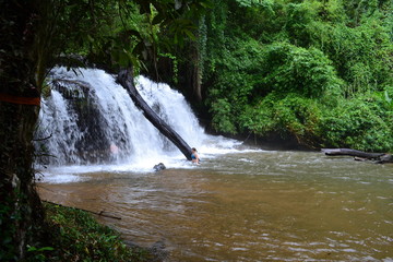 tropical jungle with waterfall