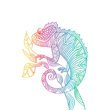 Hand drawn chameleon zentangle style.