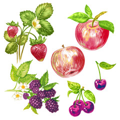 Vector seamless floral pattern with fruits and berries.