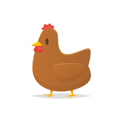 Chicken vector isolated illustration