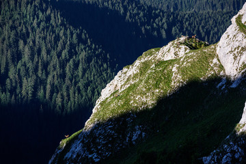 Mountain landscape in morning with chamois (Rupicapra Carpatica).