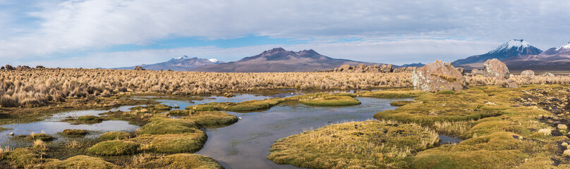 Nature of Altiplano, Bolivia, South America