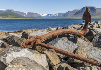 Fototapeta premium Rusty Anchor
