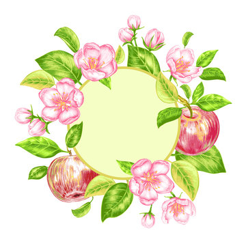 Vector seamless pattern with apple blossom.