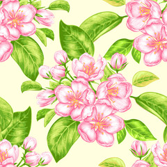 Vector seamless pattern with apple blossom.