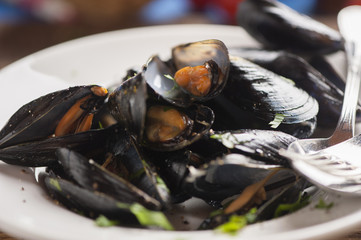 Fresh mussels