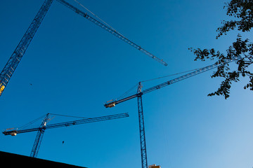 cranes in building site with clear blue sky