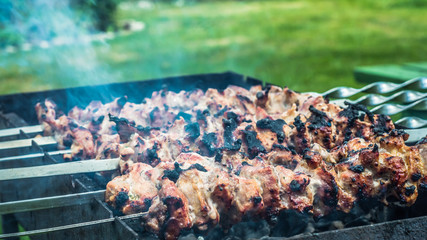 Grilled Pork Meat